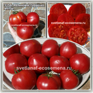 Малиновое Сердечко мечты 