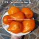 Спелая клубника