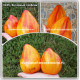 Янтарный гребень (amber comb)