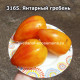 Янтарный гребень (amber comb)