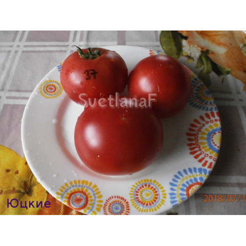 Юцкие