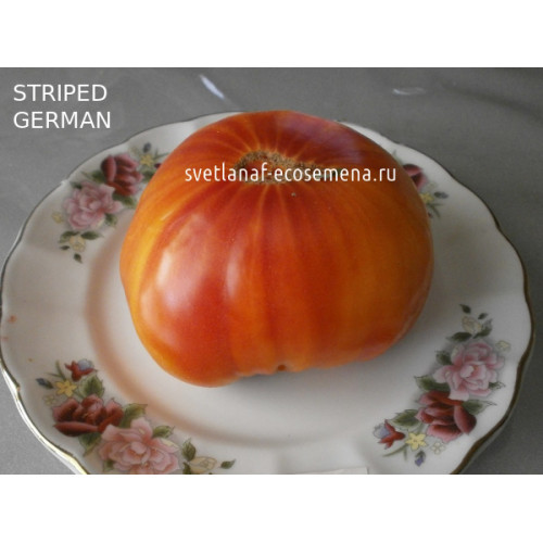 Немецкий полосатый Striped German
