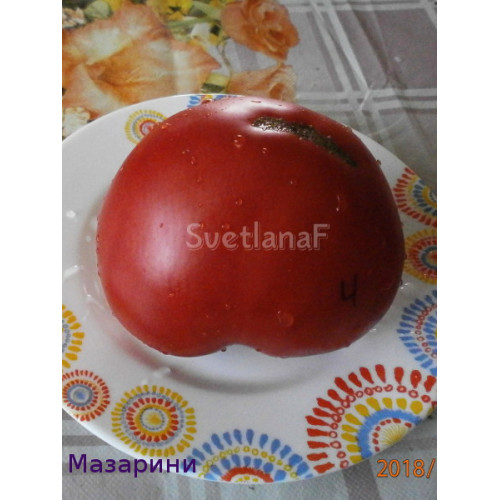 семена томатов Мазарини