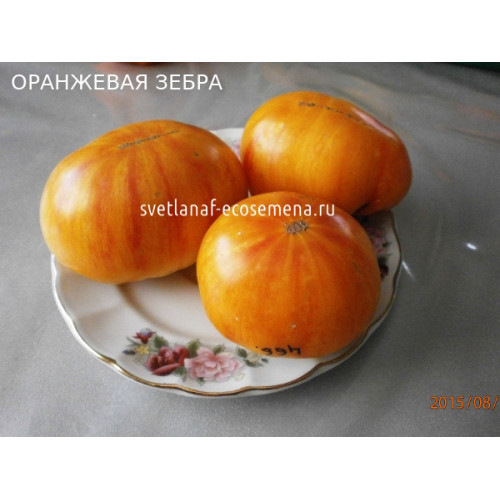 Оранжевая зебра (Oranzhevaya zebra)