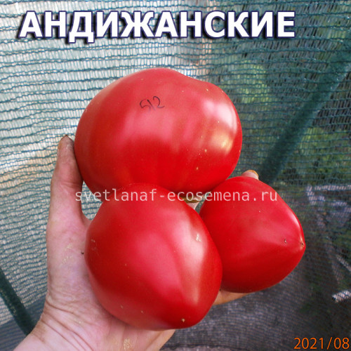 Андижанские