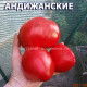 Андижанские