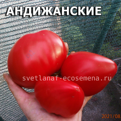Андижанские
