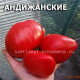 Андижанские