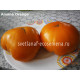 Amana Orange