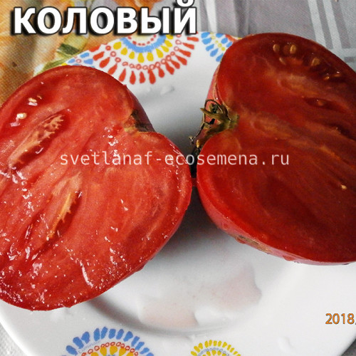 Коловый