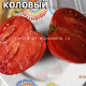 Коловый
