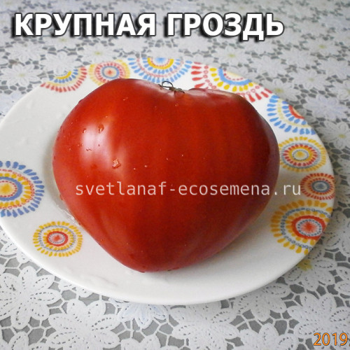 Крупная гроздь