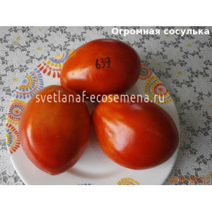 Огромная сосулька