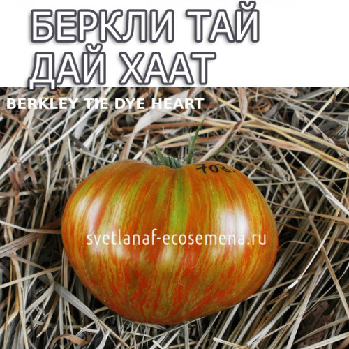 Беркли тай дай хаат (Berkley Tie Dye Heart)