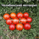 Челябинский метеорит