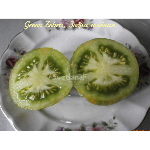 Green Zebra, Зебра зелёная 