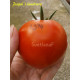 Josephs  landrace (Джозефс ландрас)