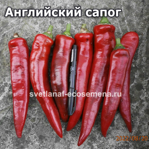 Английский  сапог (English boot)