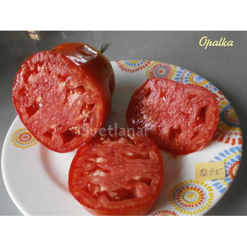 Опалка (Opalka)