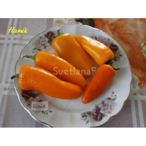 Hamik (Хамик)