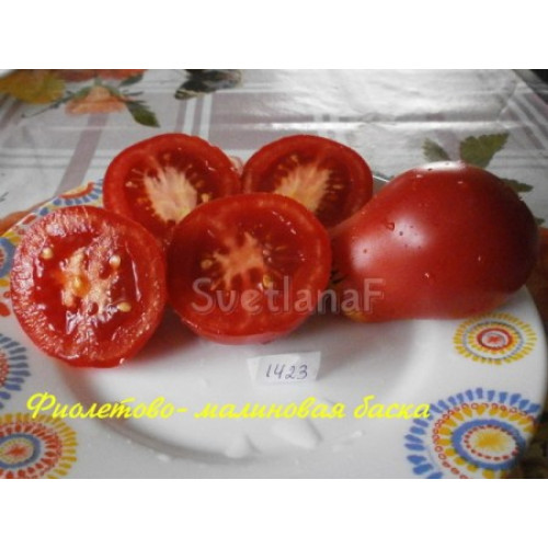 Dark pear-shaped tomatoes on the vine